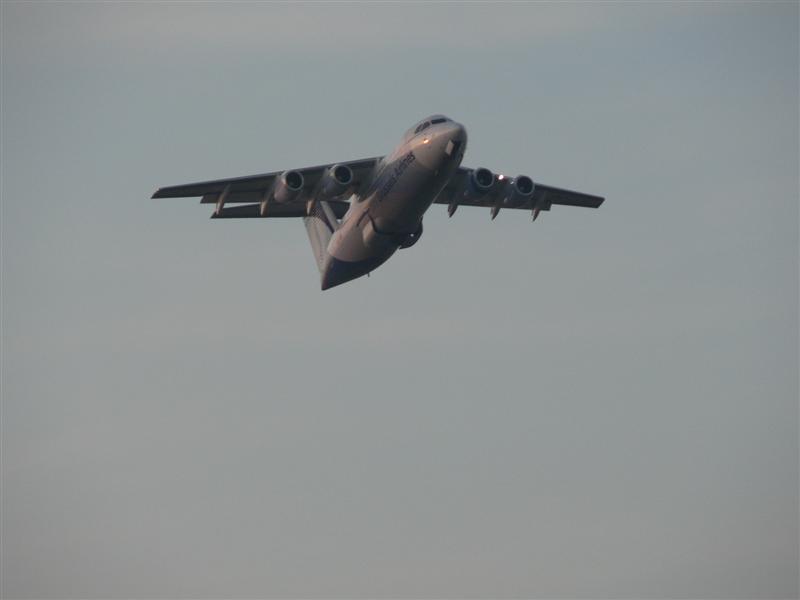 P1000571 (Medium).JPG