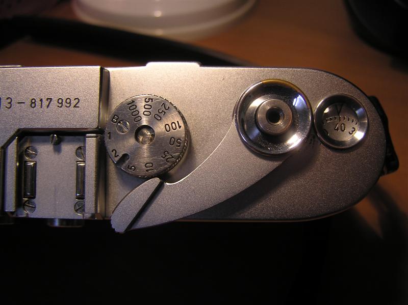 P1010020 (Medium).JPG