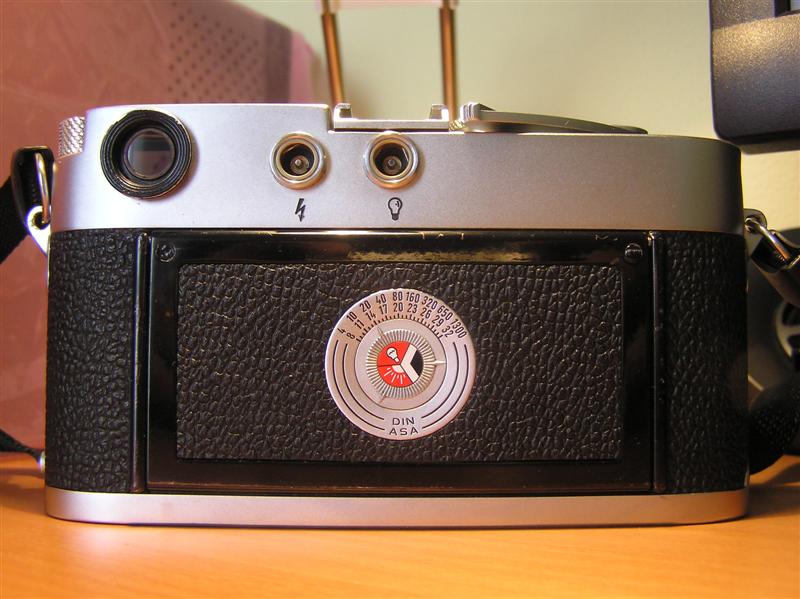 P1010023 (Medium).JPG