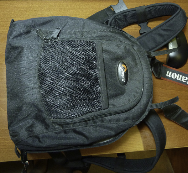 P1010129.jpg