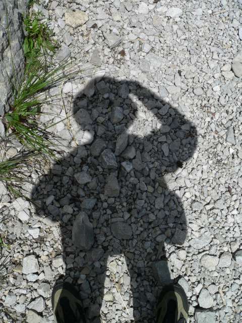 P1010250-1.jpg