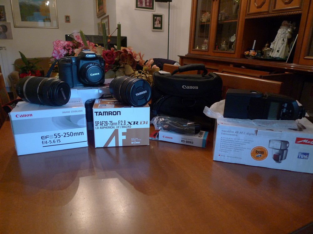 P1010514_r.JPG