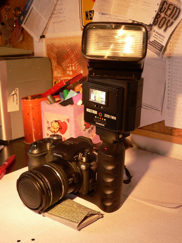 P1010560.JPG