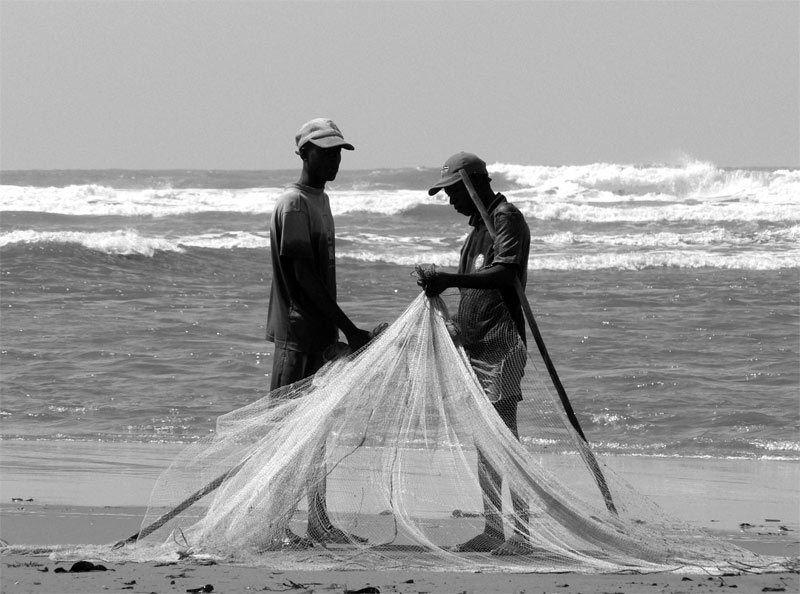 P1030728.jpg