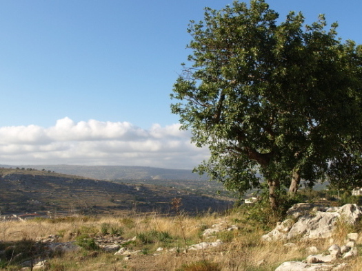 P9254512.JPG