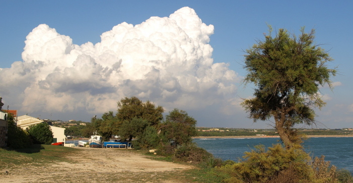 P9294773.JPG