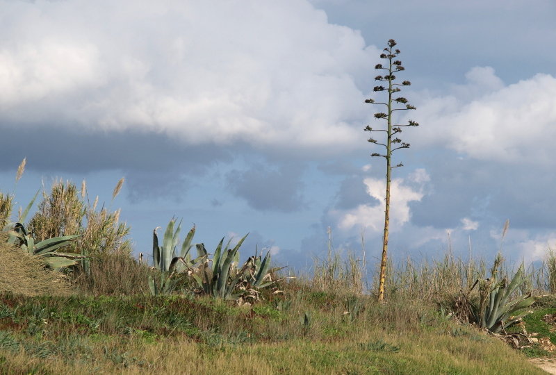 PA295577.JPG