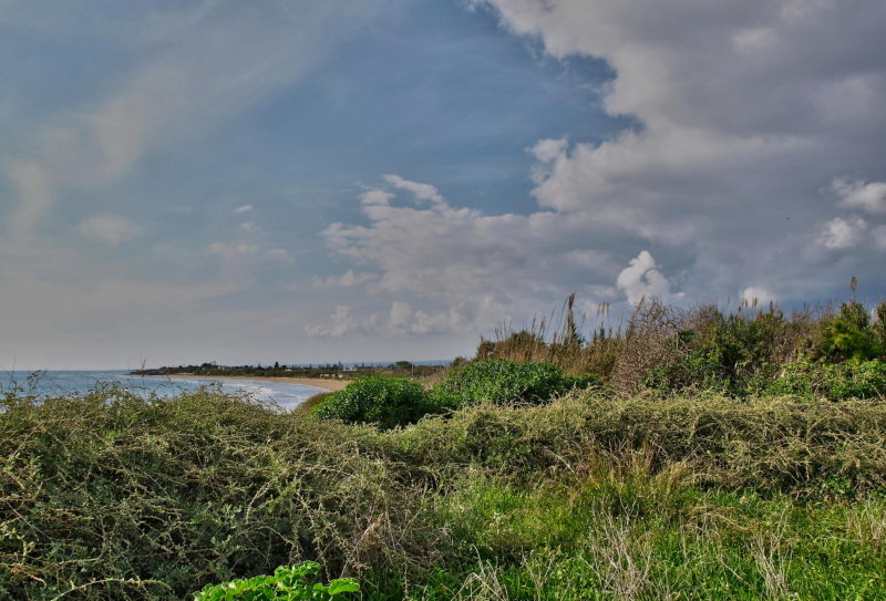 PA295579.JPG