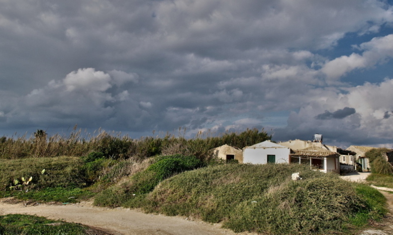 PA295593 .JPG
