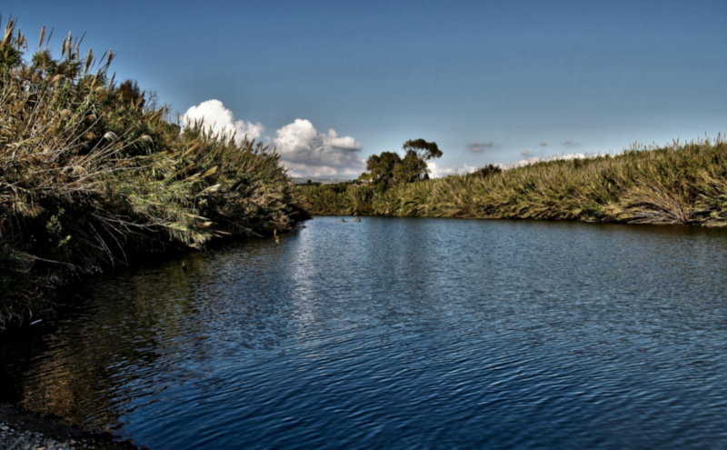 PA305636.jpg