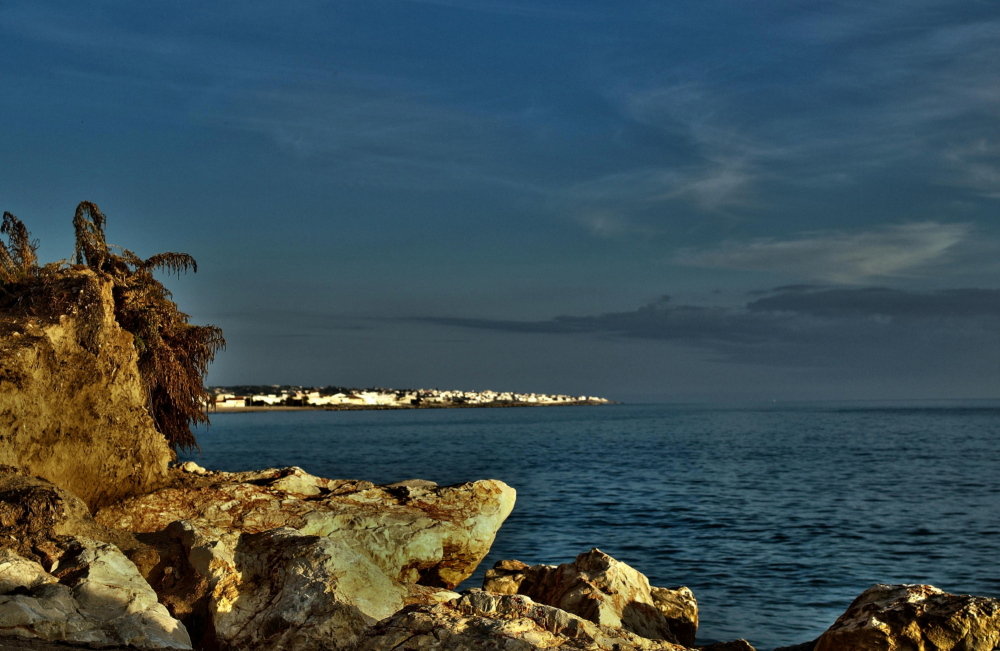 PA305744.JPG