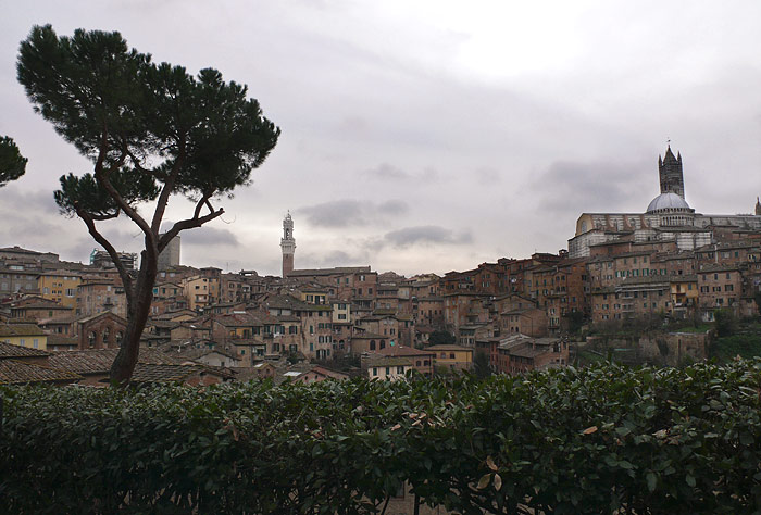 panorama-Siena.jpg