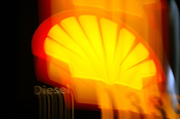 PICT0008shell.jpg