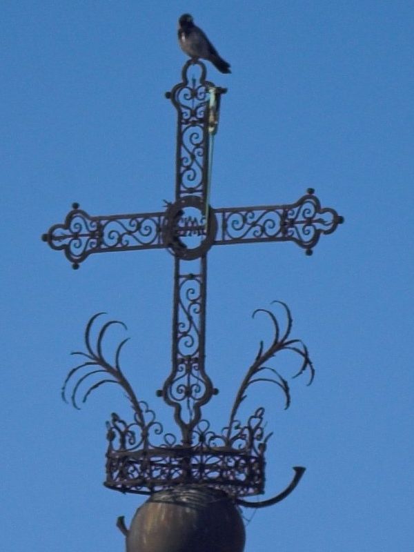 PICT2860-01_crop.jpg