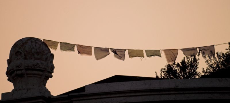 PICT2887-01.jpg
