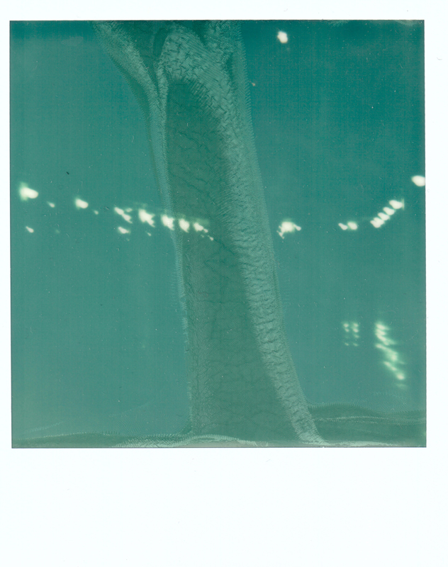 Polaroid_1_small.jpg