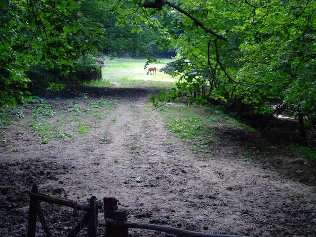 Prato al Fiume - 04.JPG