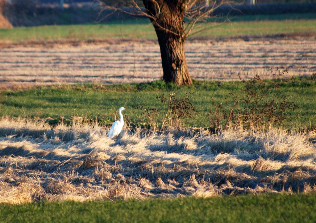 Prova Tokina 80-400 Paesaggi0009.jpg