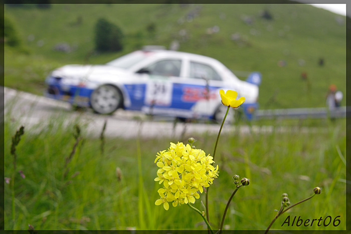 Rally-Marca06_0098.jpg