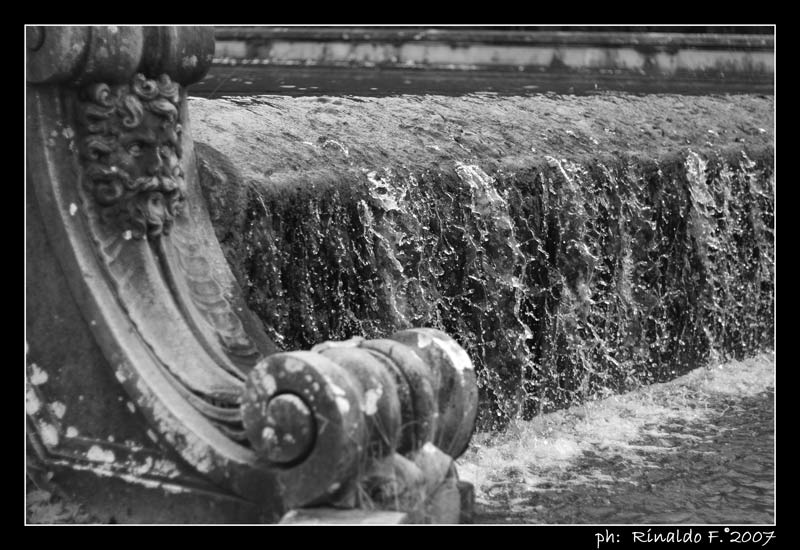 ReggiaC_acqua_BN_rid.jpg