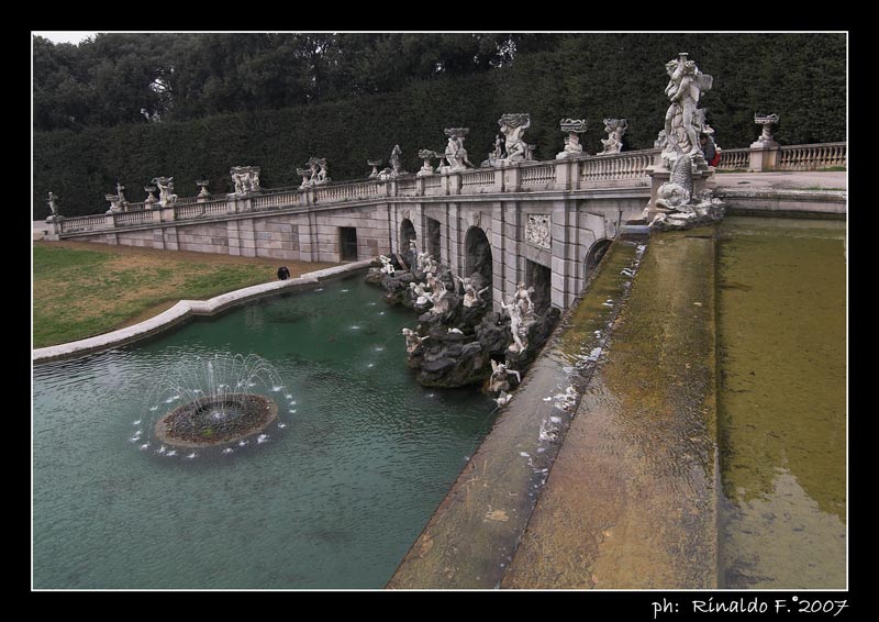 ReggiaC_fontana_alto_rid.jpg