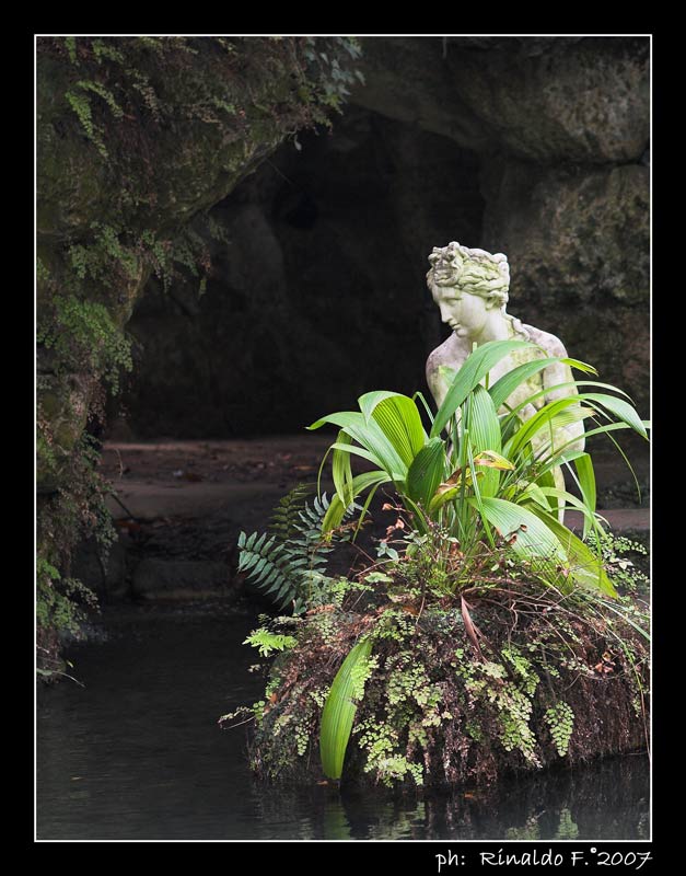 ReggiaC_statua_lago_rid.jpg