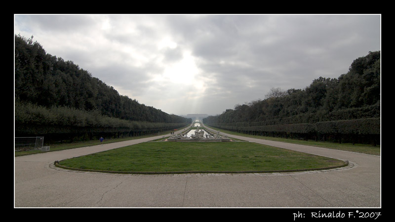 ReggiaC_viale_fine_rid.jpg