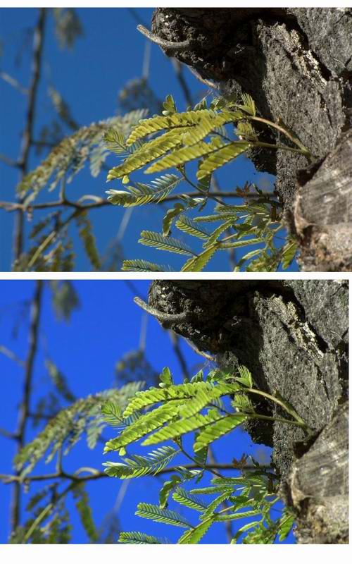 resize_of_verde_smeraldo1.jpg