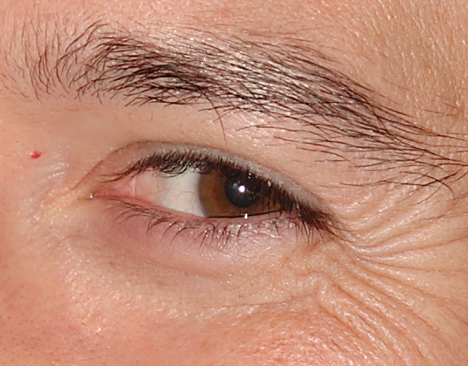 ritratti001_crop.jpg