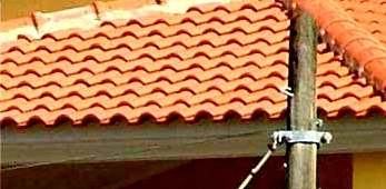 s5000.jpg