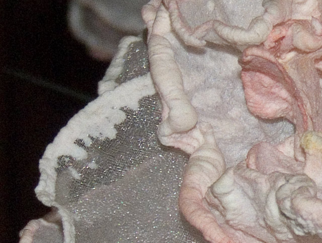 s5600-crop-200-iso-raw.jpg
