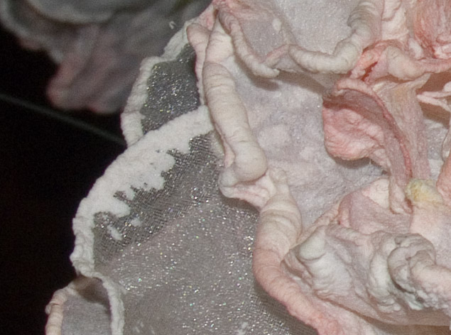 s5600-crop-64-iso-raw.jpg
