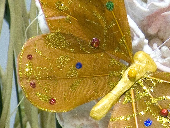 s5600-crop1.jpg