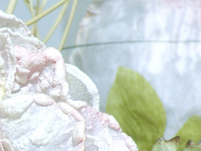s5600-crop2.jpg