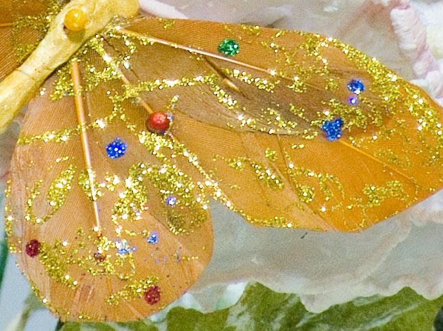 s5600.jpg