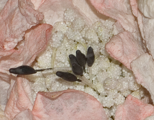 s7000-centrale-200-iso-raw.jpg