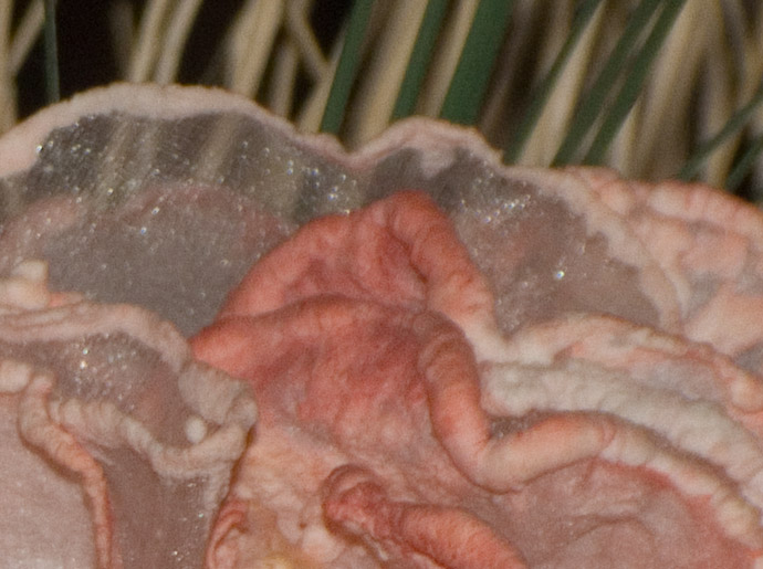 s7000-laterale-200-iso-raw.jpg