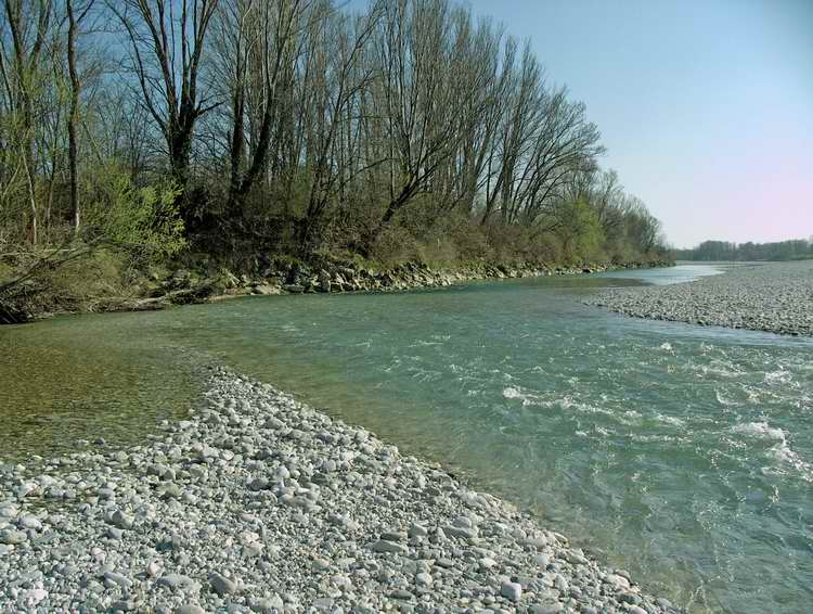 s7raw4+PS-2 livelli rid.JPG