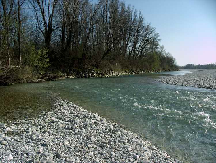 s7raw4 sottoesp rid.JPG
