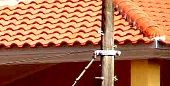s9500.jpg