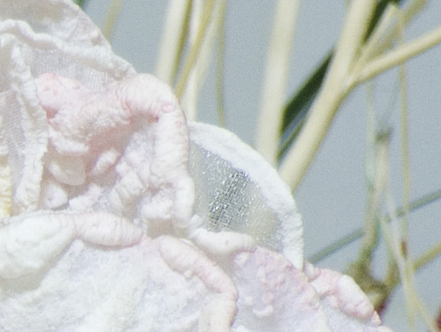 s9600-crop2.jpg