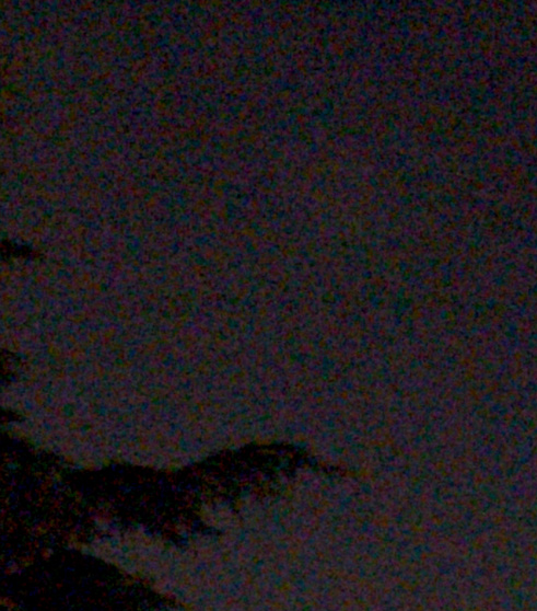 s9600 400 iso.jpg