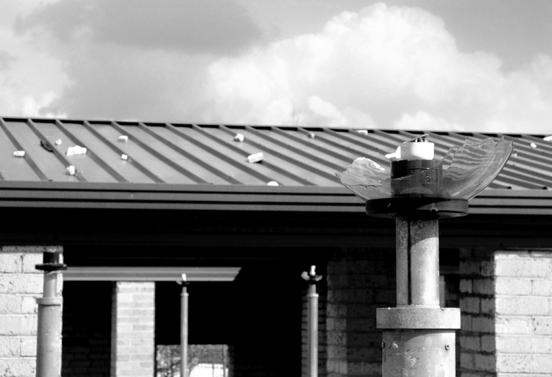 s_100_4008_1.jpg