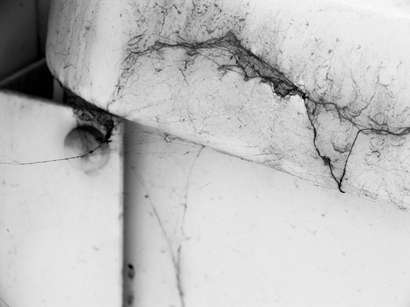 s_100_4072.jpg