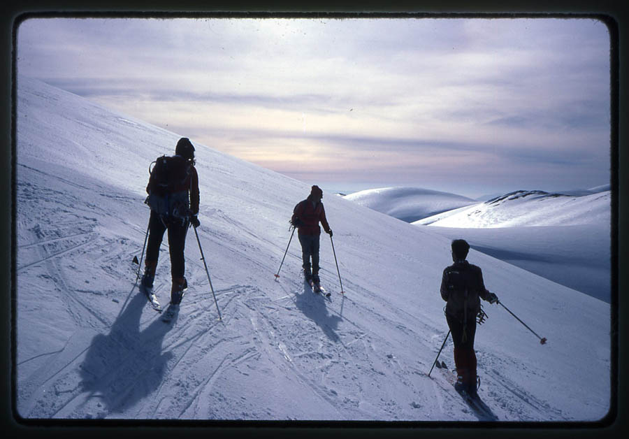 scan003_R.jpg