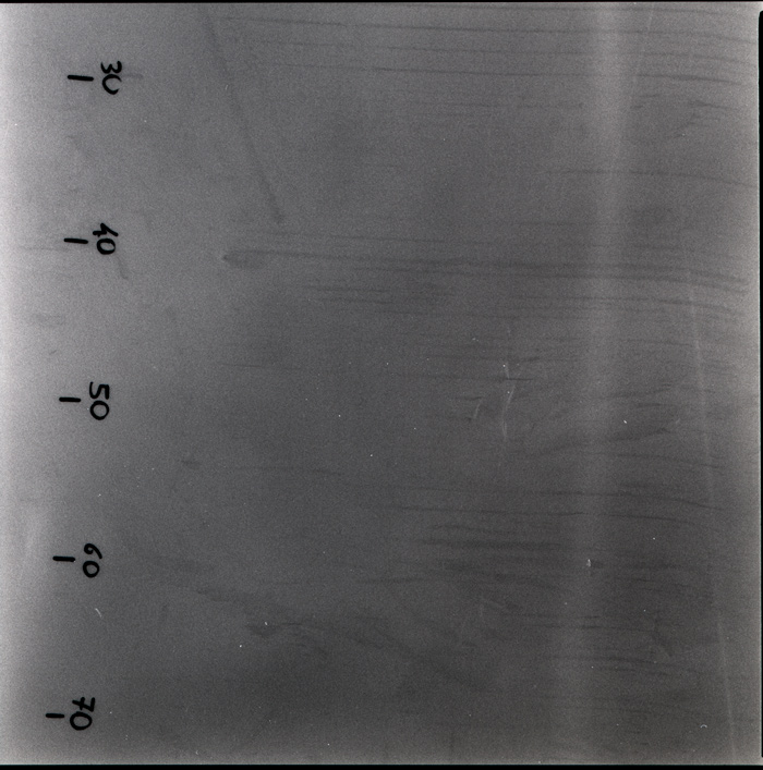 scan274.jpg