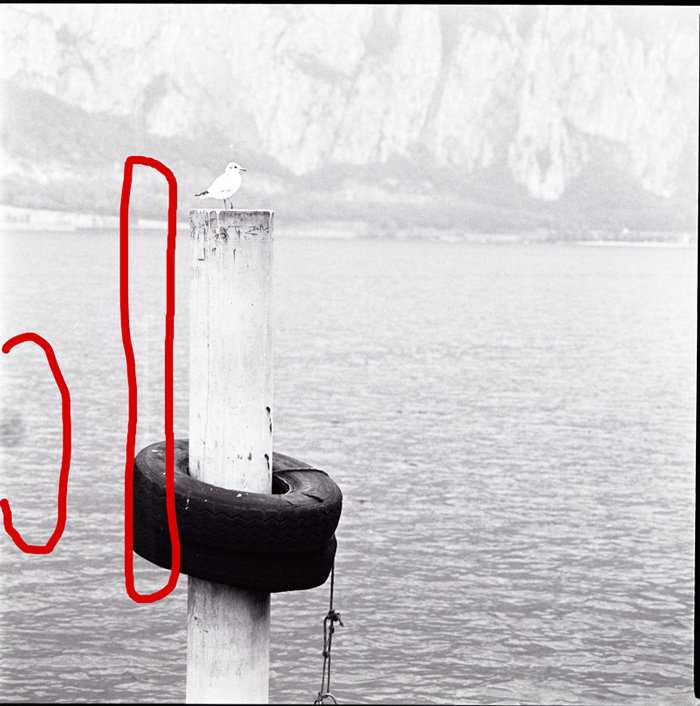 scan.jpg