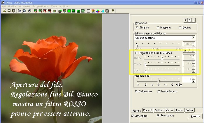 seppia- pronti,partenza, via!.jpg