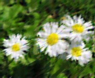 sfocatura_b_55714fm_cr.jpg
