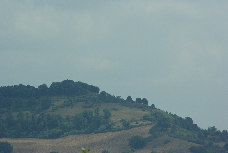 SG103871@ww.jpg